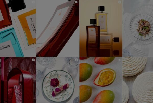 Agence Symediane – rédaction de fiches projets